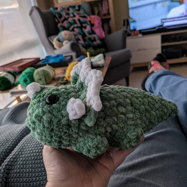 Customer photo