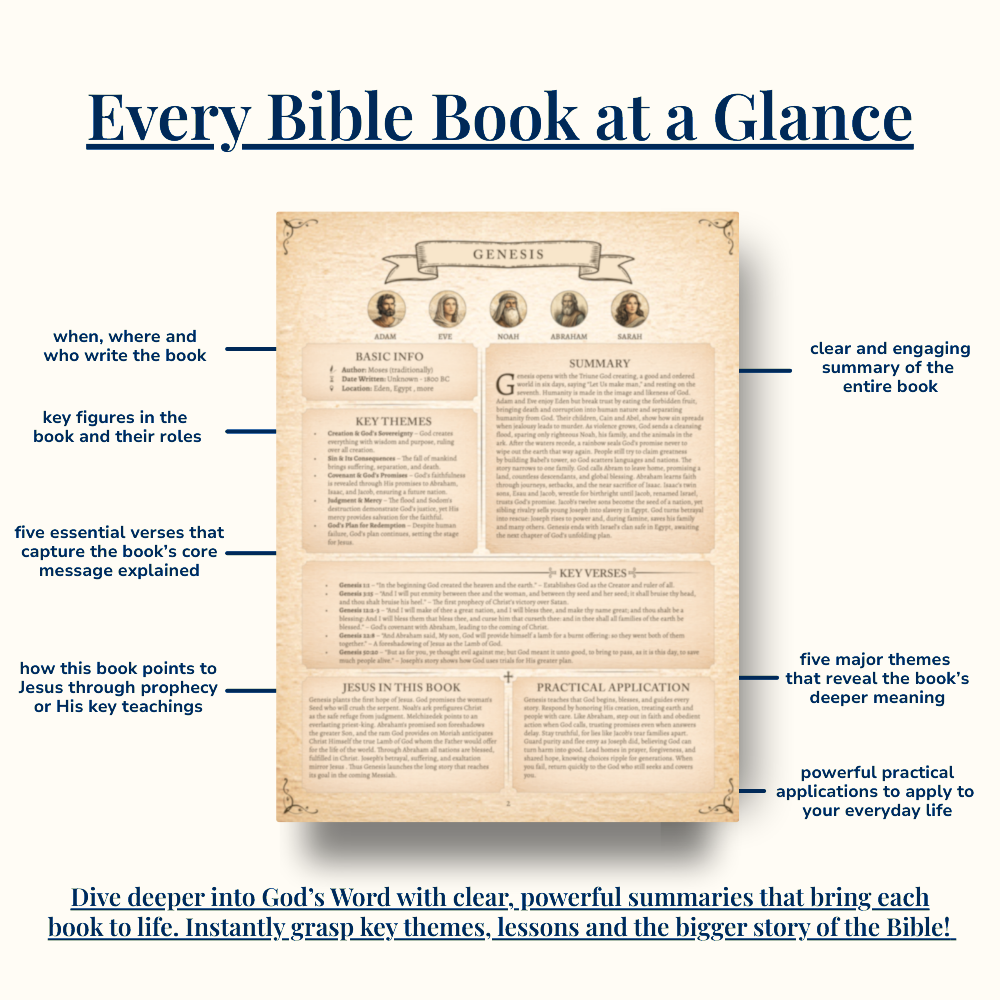 Every Bible book at a glance